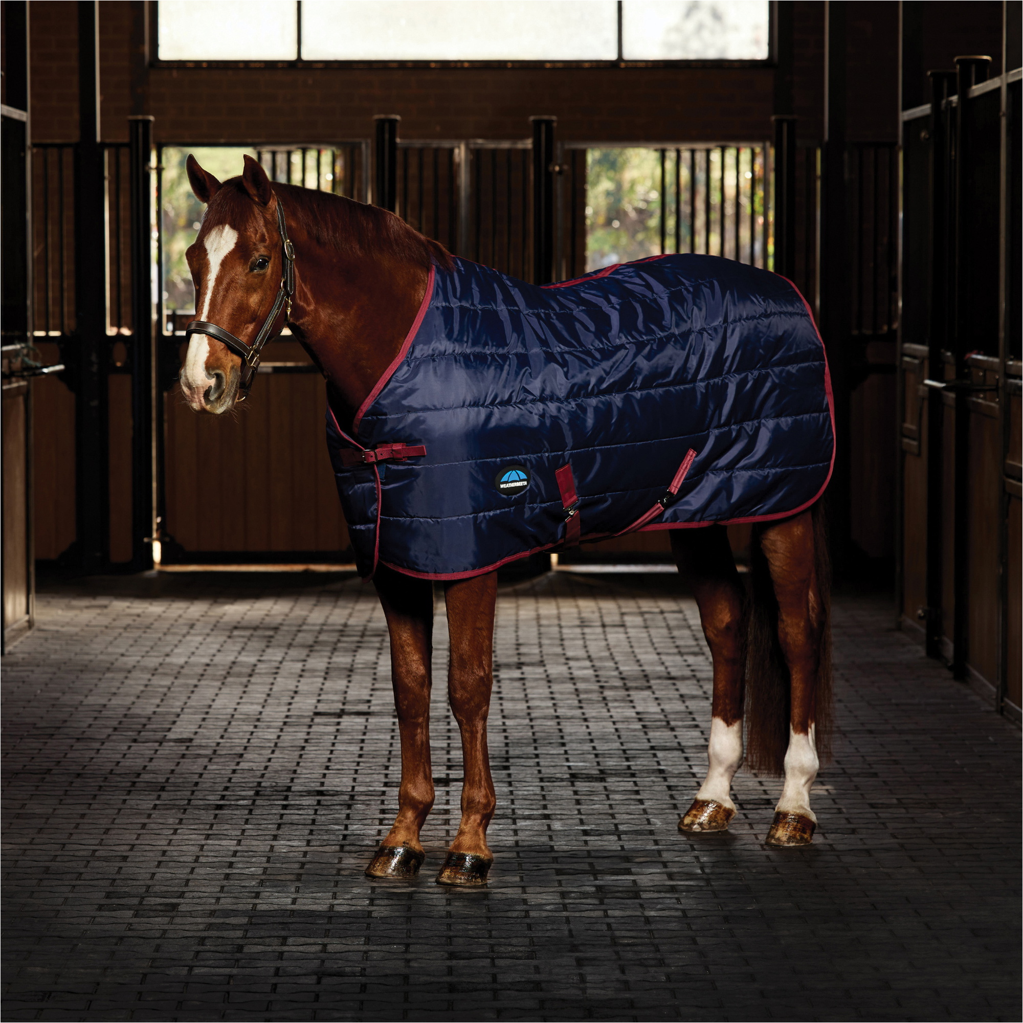 2025 WeatherBeeta Comfitec 210D Channel Quilt Stable Standard Neck 102904 - Navy